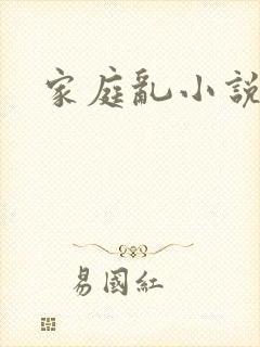 家庭乱小说