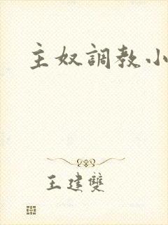 主奴调教小说封面