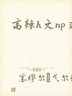 高辣h文np爽