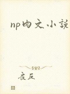 np肉文小说