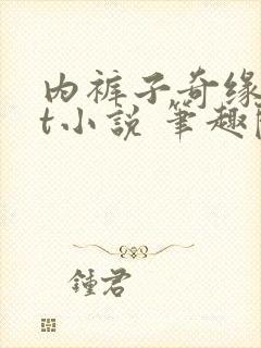 内裤子奇缘txt小说 笔趣阁封面
