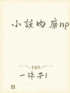 小说肉糜np