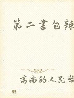 第二书包辣文