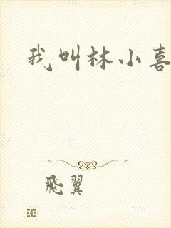 我叫林小喜17