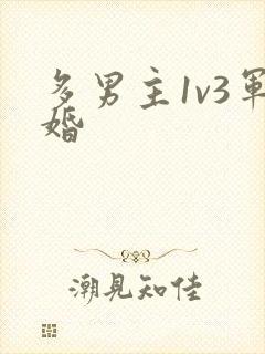 多男主1v3军婚