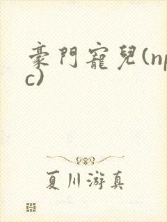 豪门宠儿(npc)
