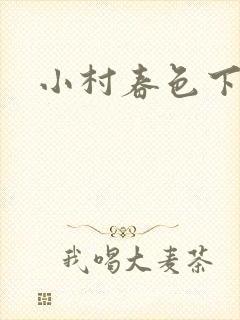 小村春色下载