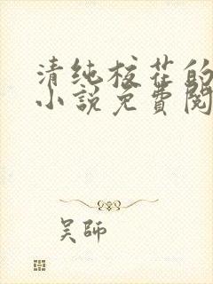 清纯校花的秘密小说免费阅读