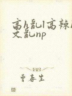 高h乱l高辣h文乱np封面