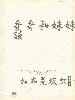 哥哥和妹妹的小说封面