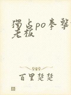 独占po拳击馆老板