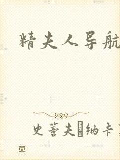 精夫人导航