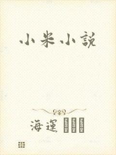小米小说