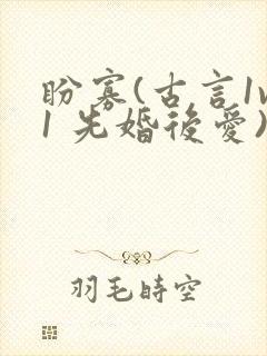 盼寡(古言1v1 先婚后爱)