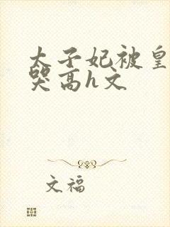 太子妃被皇上c哭高h文封面