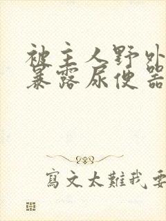 被主人野外调教暴露尿便器