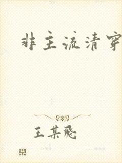非主流清穿