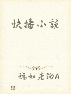 快播小说