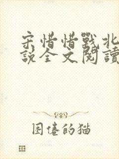 宋惜惜战北望小说全文阅读