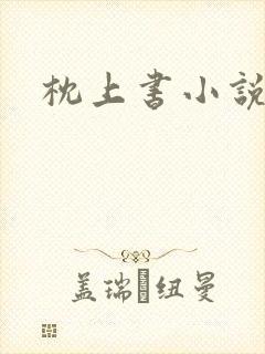 枕上书小说