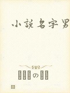 小说名字男生
