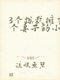 3个总裁拥有一个妻子的小说