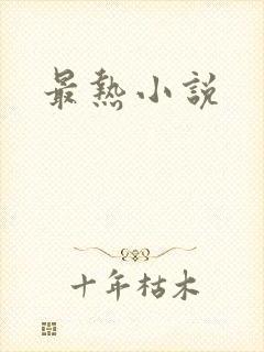 最热小说