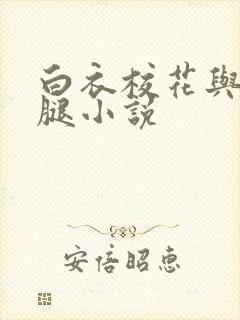 白衣校花与大长腿小说封面