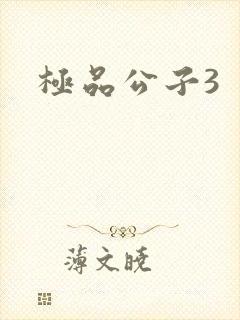 极品公子3