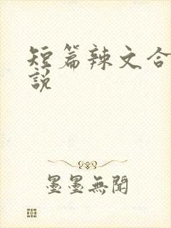 短篇辣文合集小说