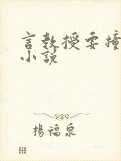 言教授要撞坏了小说