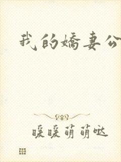 我的娇妻公务员