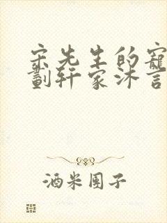 宋先生的宠妻计划轩家沐言