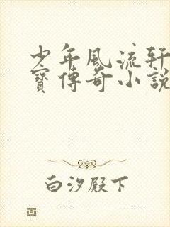 少年风流轩辕大宝传奇小说
