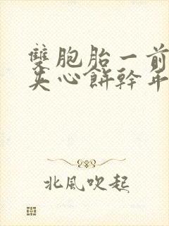 双胞胎一前一后夹心饼干年下