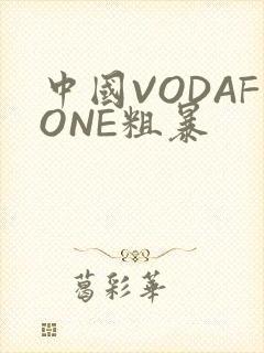 中国VODAFONE粗暴封面