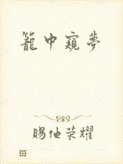 笼中窥梦