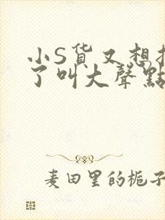 小S货又想挨C了叫大声点小