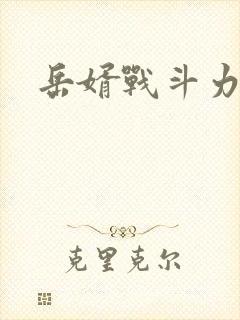 岳婿战斗力