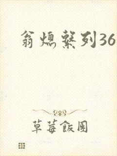 翁熄系列36章封面