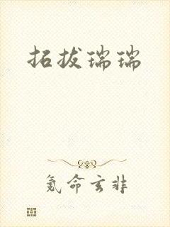 拓拔瑞瑞封面