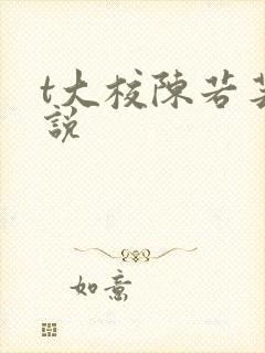 t大校陈若芸小说