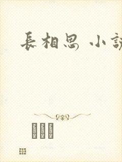长相思 小说