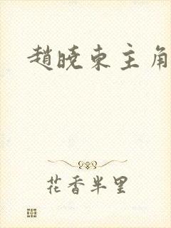 赵晓东主角小说封面
