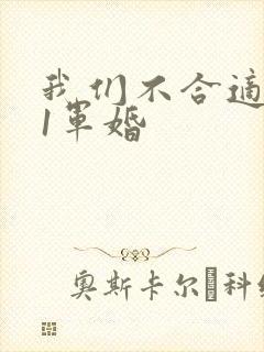 我们不合适1v1军婚