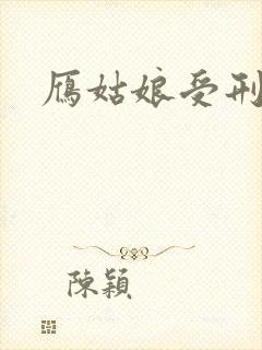 雁姑娘受刑记封面