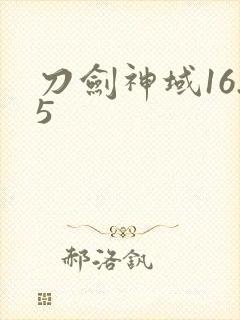 刀剑神域16.5封面