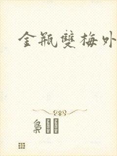 金瓶双梅外传