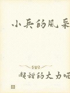 小兵的风采封面