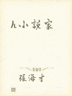h小说家
